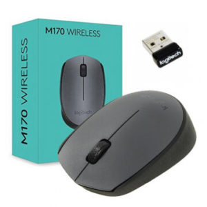 Souris